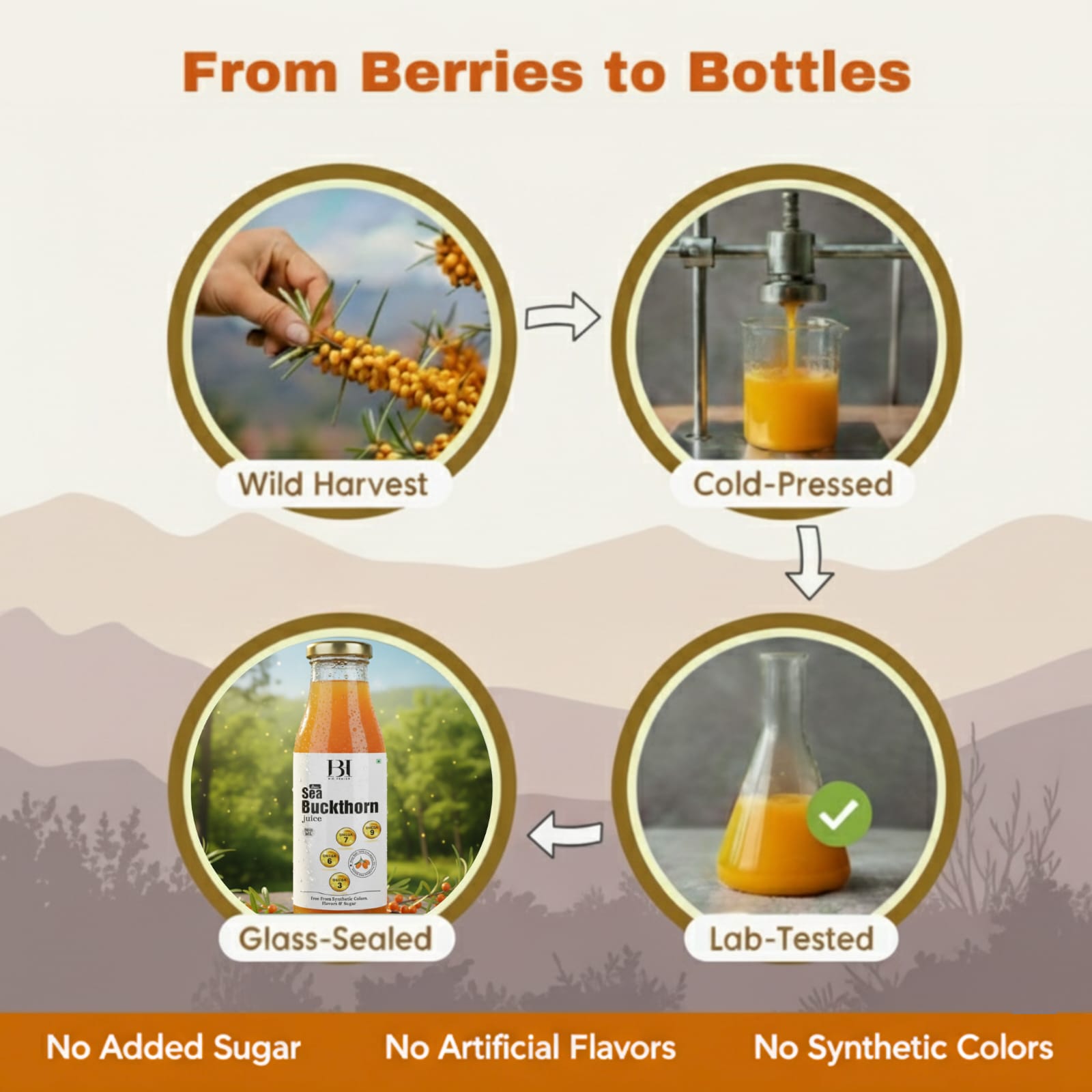 Bio Healer : Sea Buckthorn Juice - Image 6